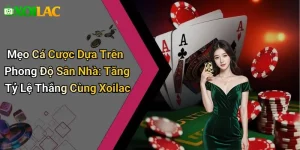 Mẹo Cá Cược Dựa Trên Phong Độ Sân Nhà: Tăng Tỷ Lệ Thắng Cùng Xoilac