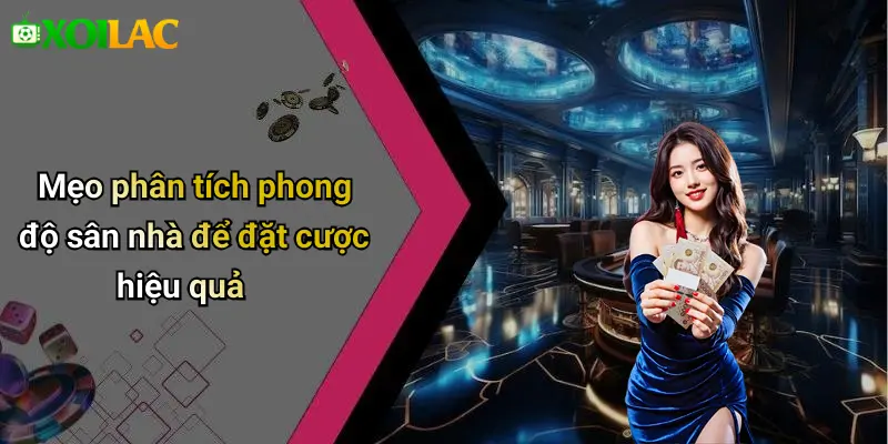 Mẹo phân tích phong độ sân nhà để đặt cược hiệu quả