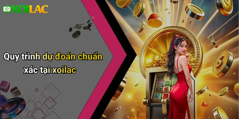 Quy trình dự đoán chuẩn xác tại xoilac