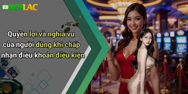 Quyền lợi và nghĩa vụ của người dùng khi chấp nhận điều khoản điều kiện