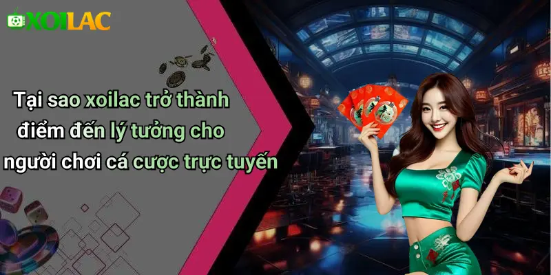 Tại sao xoilac trở thành điểm đến lý tưởng cho người chơi cá cược trực tuyến