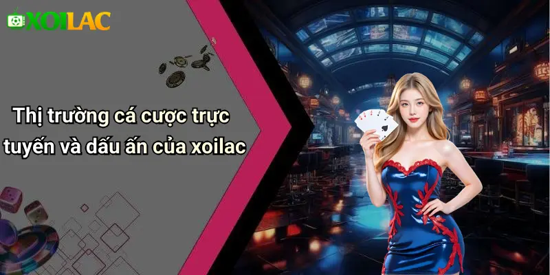 Thị trường cá cược trực tuyến và dấu ấn của xoilac