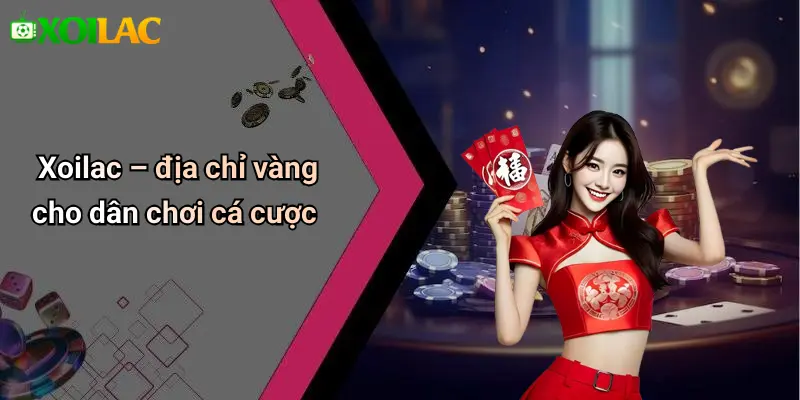 Xoilac – địa chỉ vàng cho dân chơi cá cược