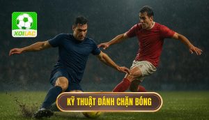 Kỹ thuật đánh chặn bóng