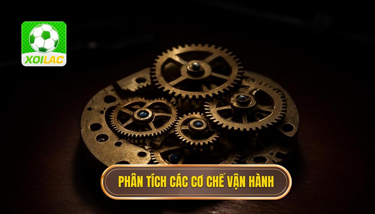 Phân Tích Chuyên Sâu Các Cơ Chế Vận Hành