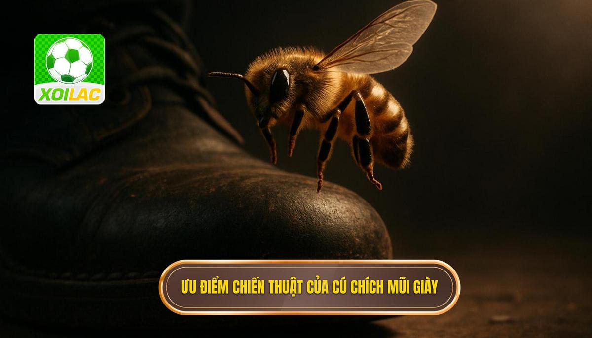 Ưu điểm Chiến thuật Đáng nể của Cú Chích Mũi Giày