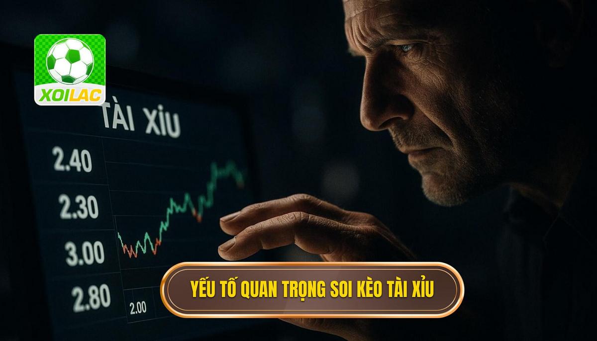 Phân tích các yếu tố then chốt khi soi kèo tài xỉu