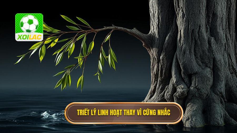 Triết lý cốt lõi: Sự linh hoạt thay vì sự cứng nhắc
