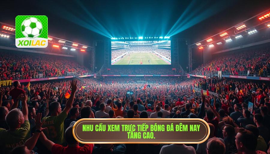 Tại sao nhu cầu xem live trận bóng đá đêm nay lại tăng cao?
