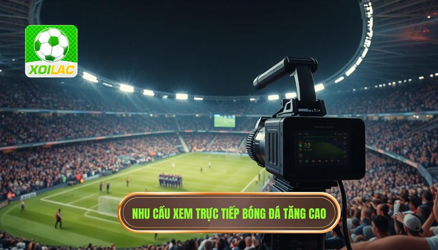 Tại sao nhu cầu live bóng đá hôm nay cực nóng lại tăng cao?