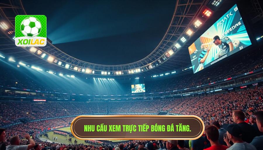 Tại sao nhu cầu theo dõi trận đấu trực tiếp ngày càng tăng cao?