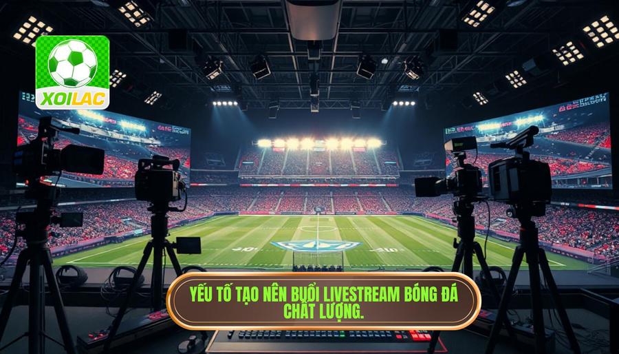Phân tích các yếu tố tạo nên một buổi live trận bóng đá đêm nay chất lượng