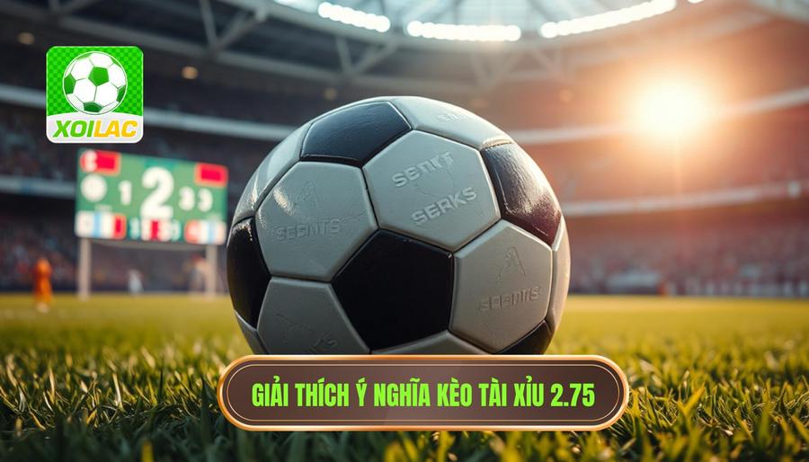 Giải đáp chi tiết: Kèo tài xỉu 2.75 có ý nghĩa gì?