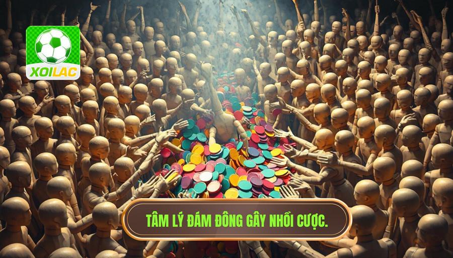 Tâm lý đám đông và "nhồi" cược vô tội vạ