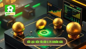 Kèo tài xỉu 2.75 có ý nghĩa gì? Cách đọc và mẹo soi kèo chuẩn nhất